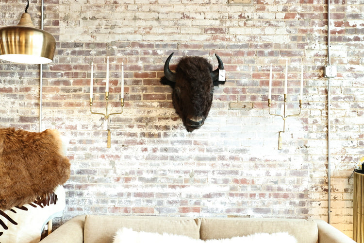 Wild Game Collective '25