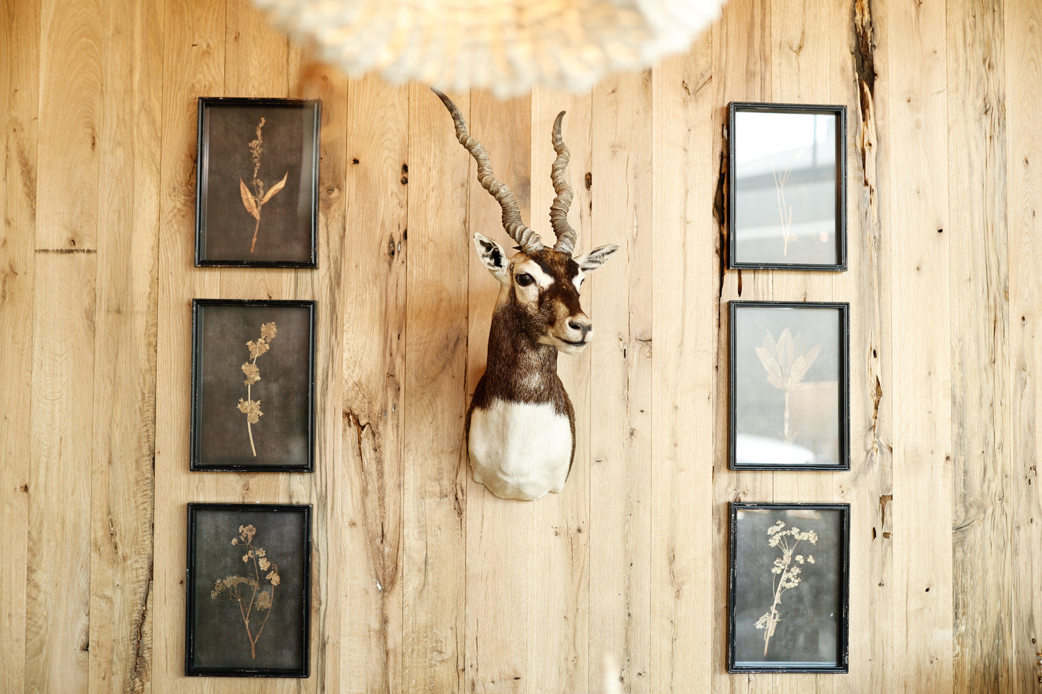 Gallery Wall Collective '25