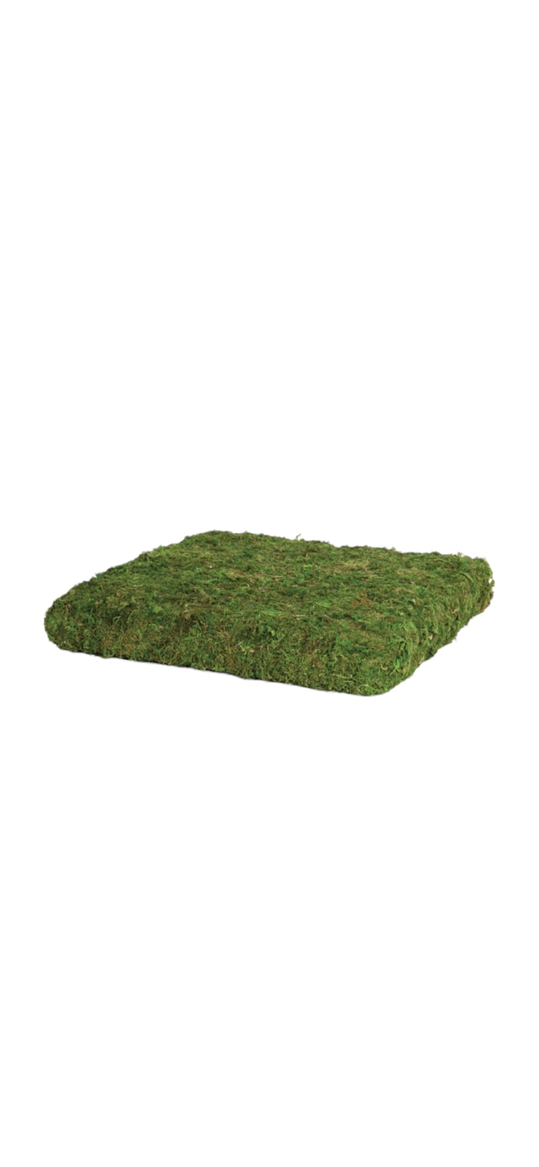 Square Moss Riser
