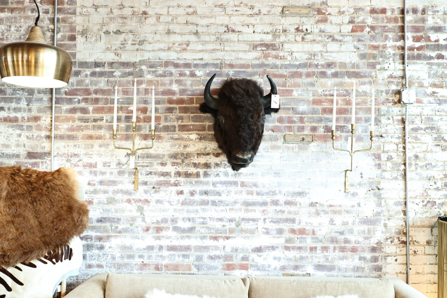 Buffalo Head Mount