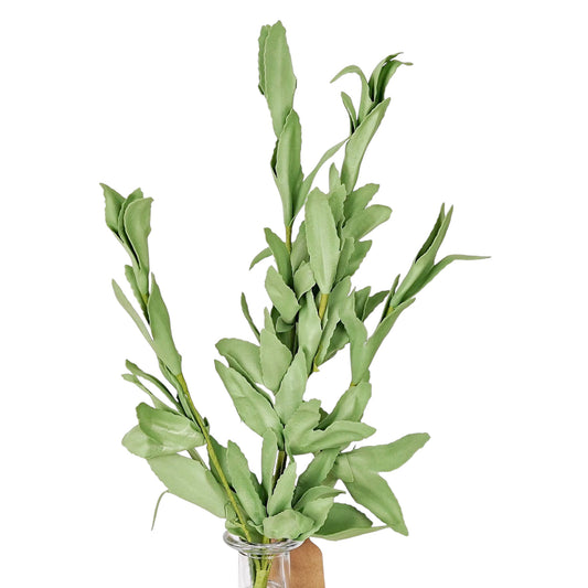 30636- 16in Pick-PE Herb Leaves-Green
