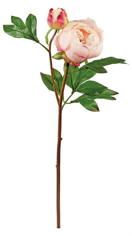 Soft Touch Peony X1 w/Bud, 24", Pink