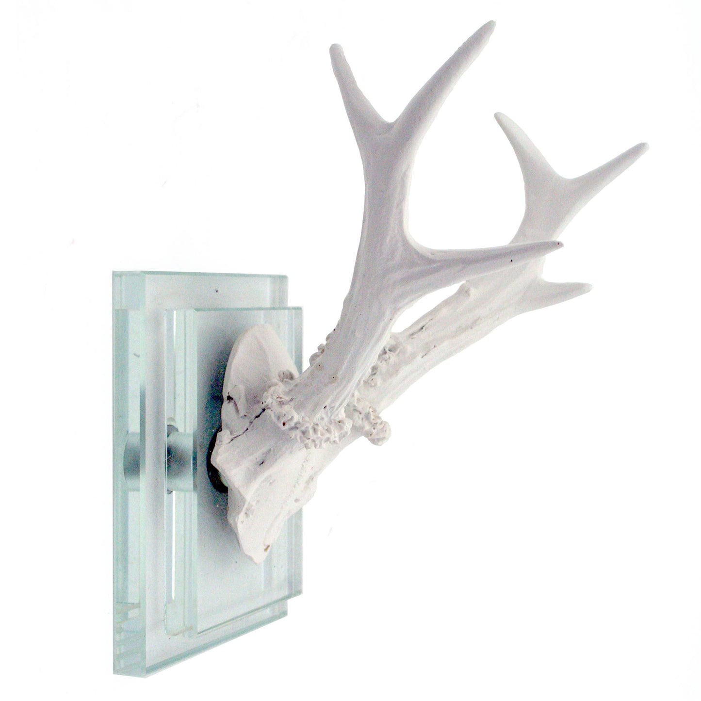 White Antler Glass Wall Mount