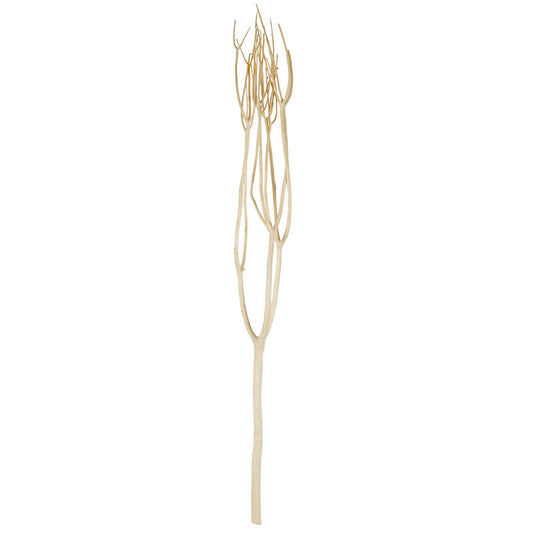 Branch Decor