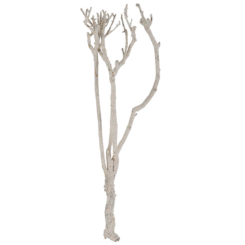 Cedar Branch Decor