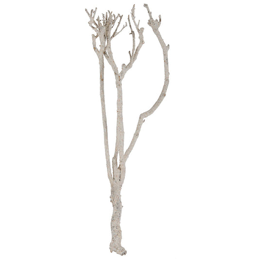 Cedar Branch Decor
