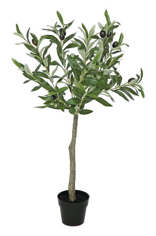 Olive Topiary in Pot, 25.5"