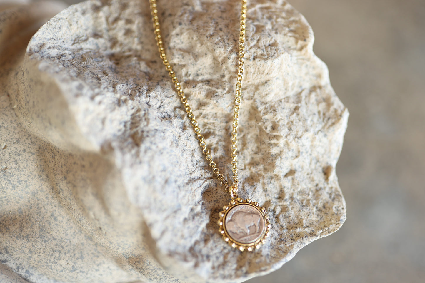 Buffalo Coin Necklace