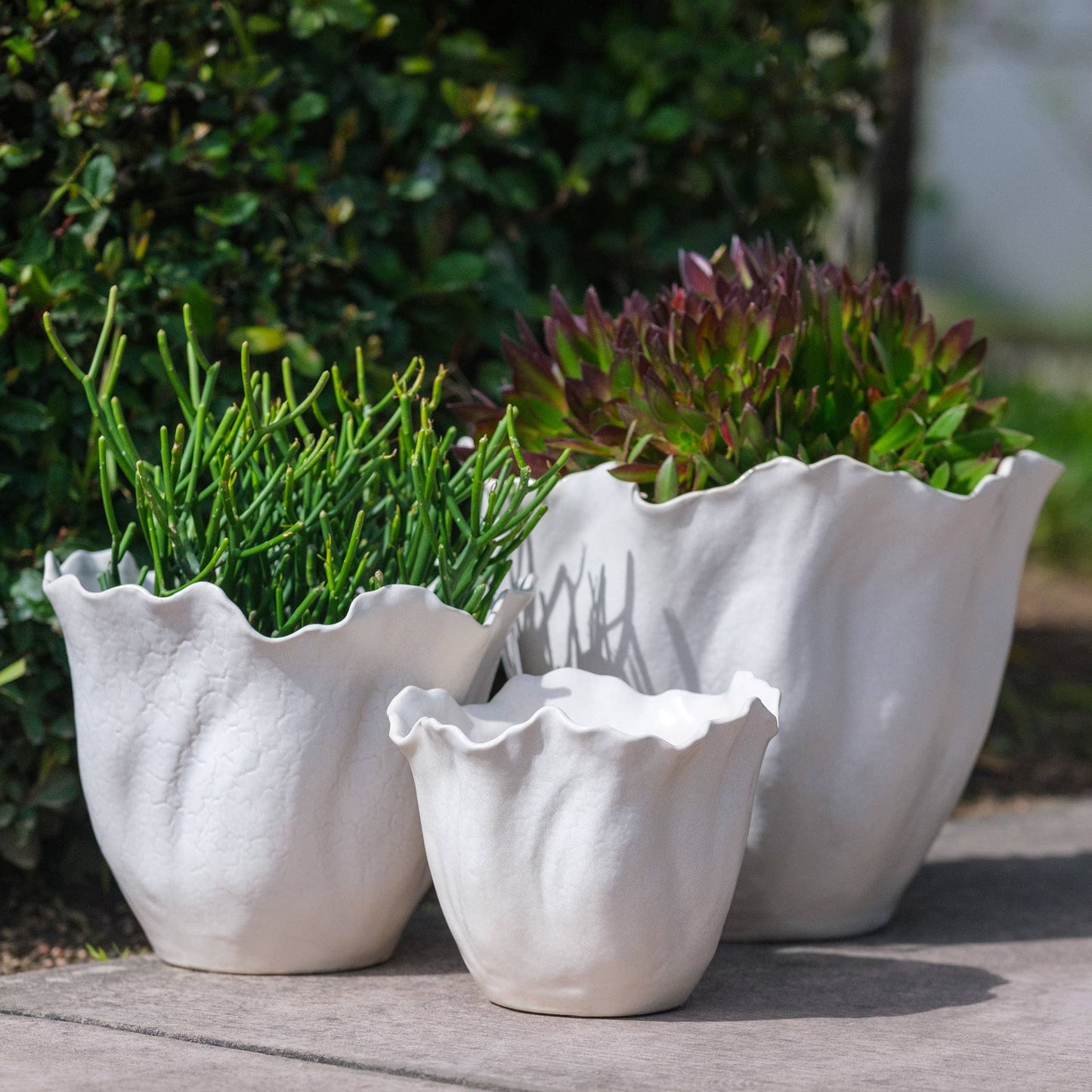 Large Flora Planter