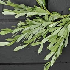 27062 - 16in(6.5) Foamy Willow Leaves Wreath-6/48pcs