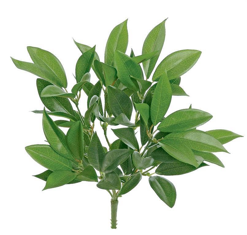 Shikibu Foliage Bush X5, 12", Green