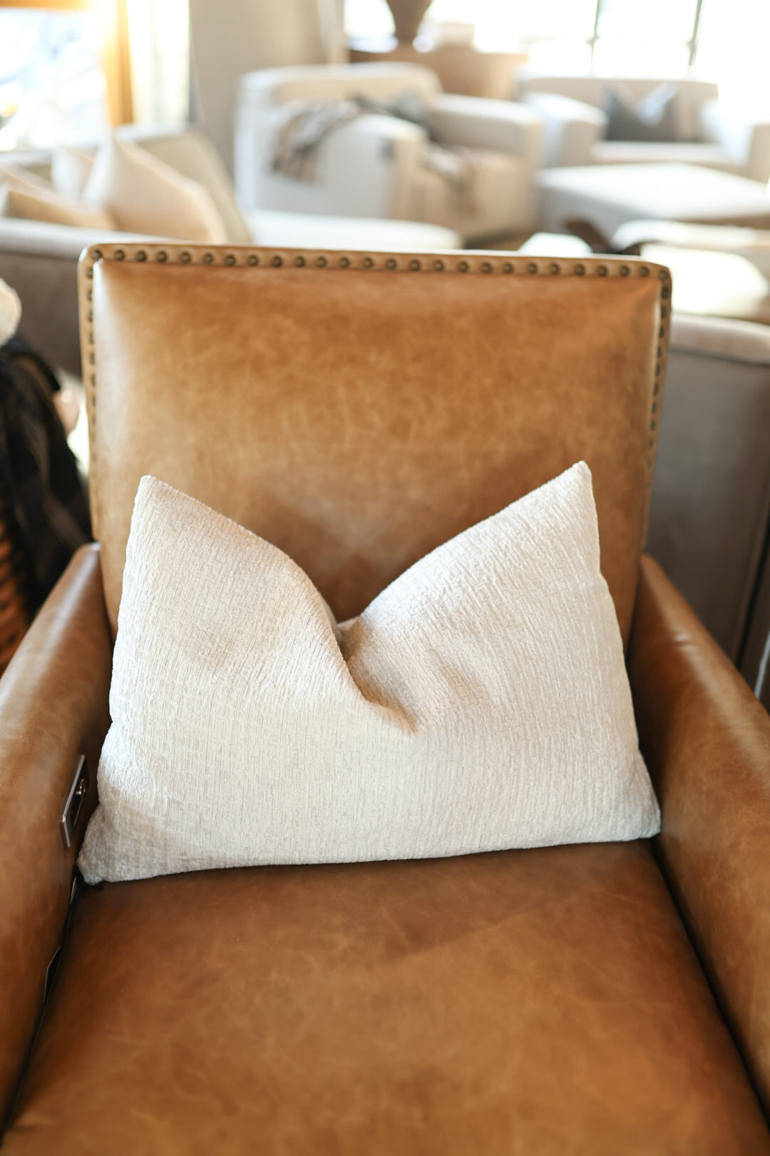 Decorative Fusion Cream Pillow