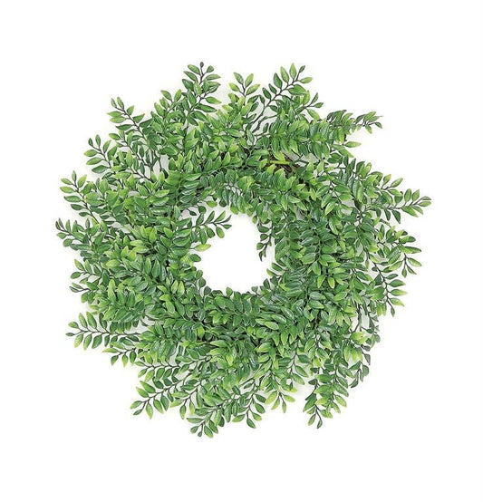 Button Leaf Fern Wreath, 24", Green