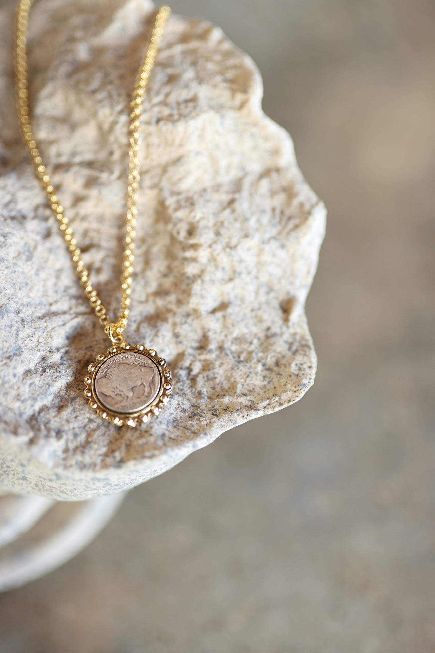 Buffalo Coin Necklace