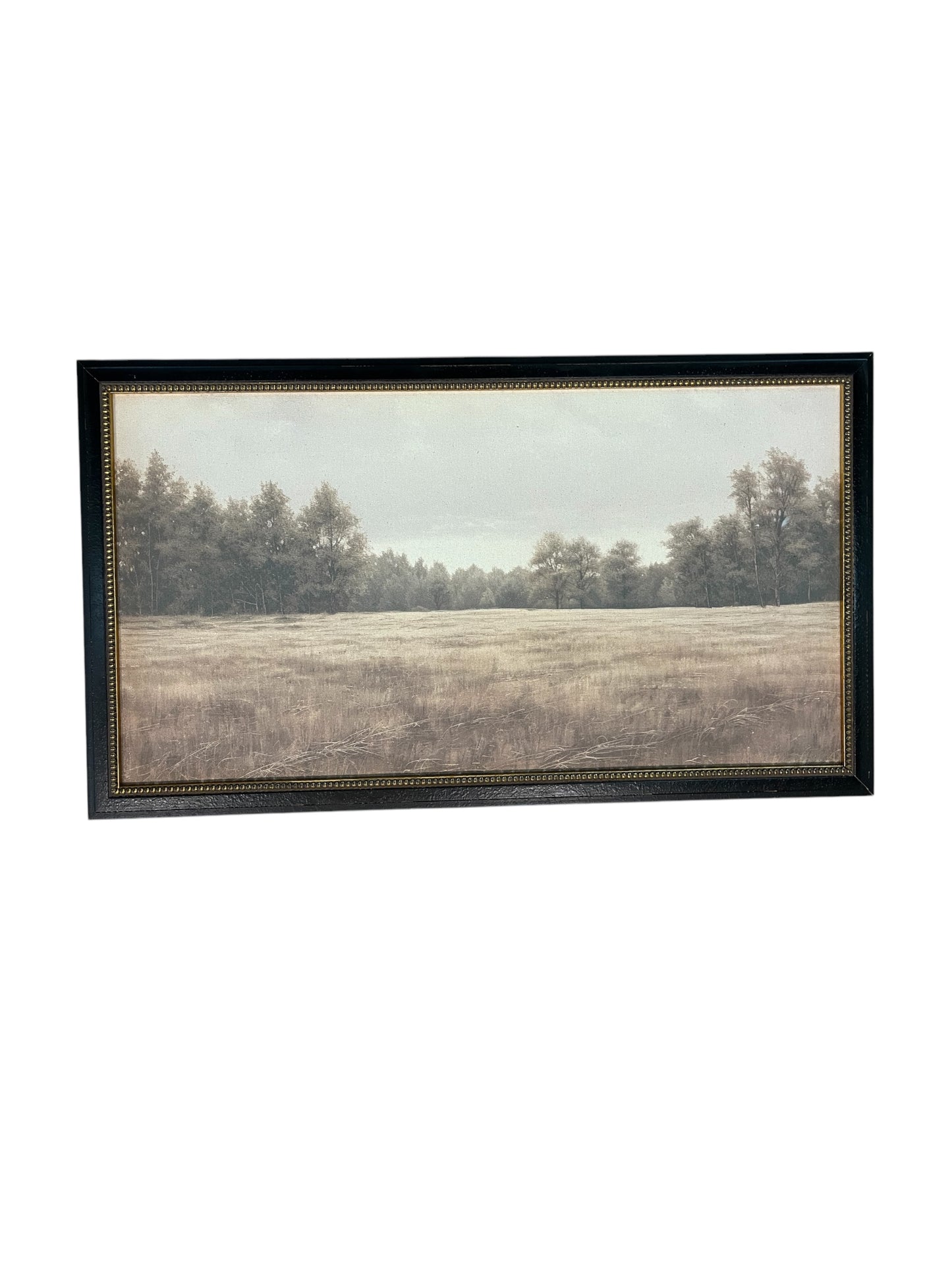 16 x 28 Treescape Framed Canvas