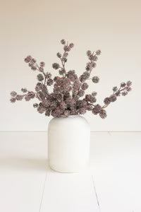 Botanica #2812