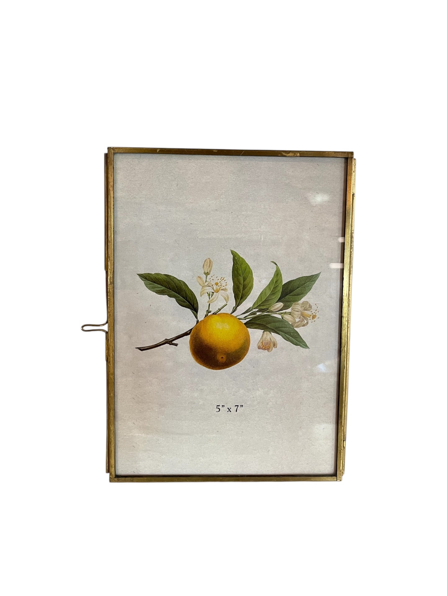 Brass and Gold Picture Frame