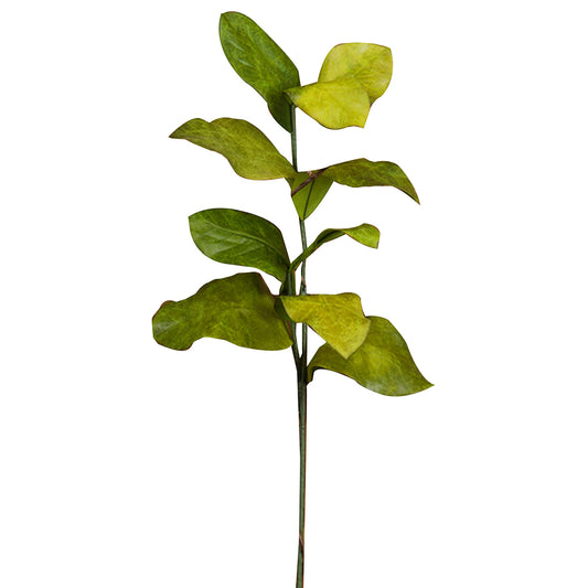 31" Magnolia Leaves Spray