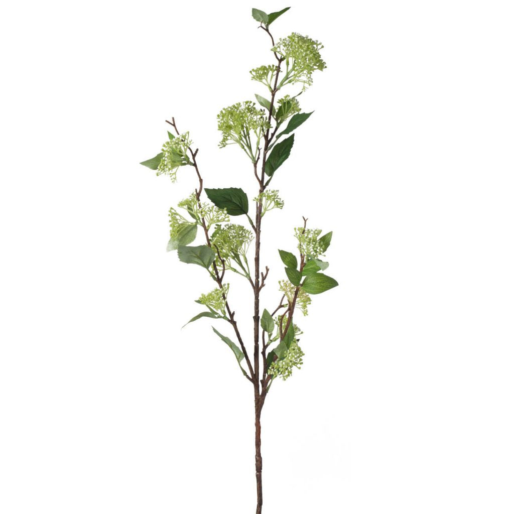 Fruit Spray Branch