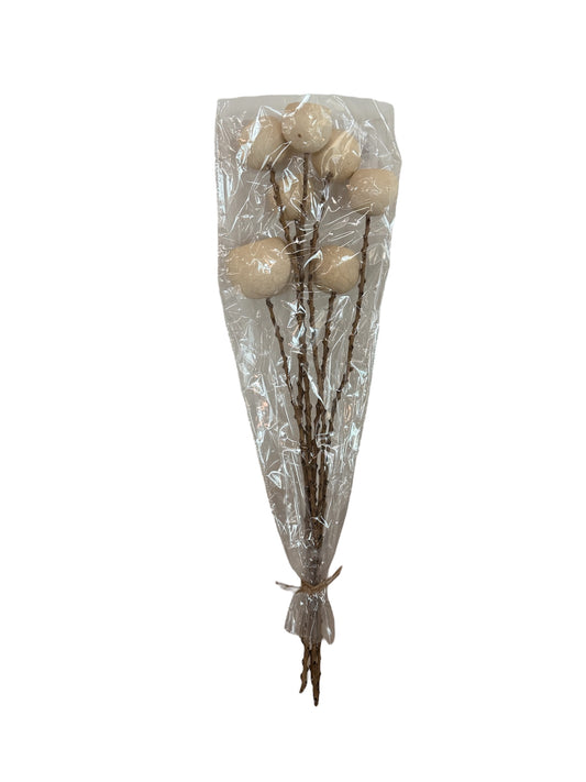 Twig Stem