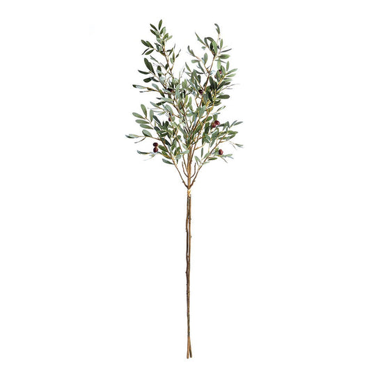 Olive Branches With Olives 42”
