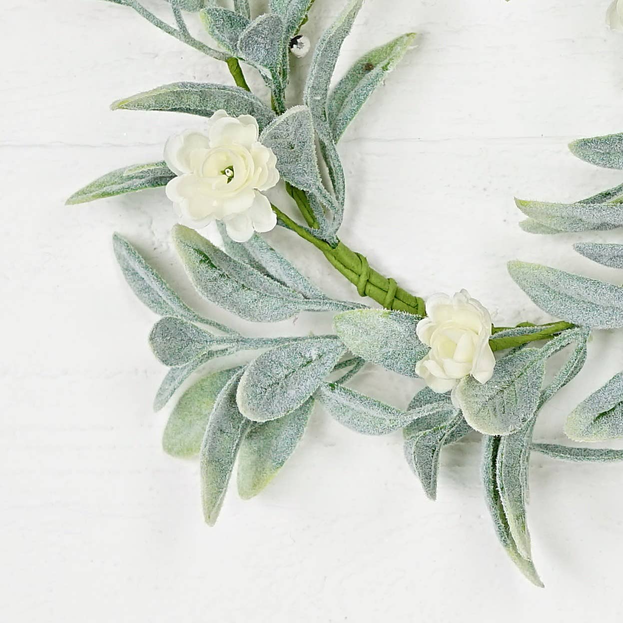 14in(6.5)Wreath-Lamb Ears with Cream Ranunculus
