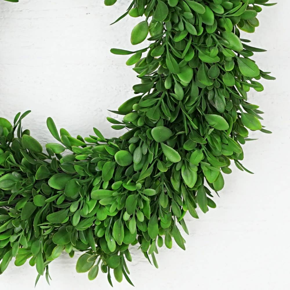 31781-12in(6.5) Wreath-Evergreen Boxwood