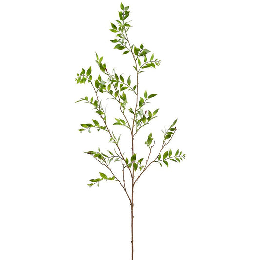 55" Boardleaf Podocarpus Leaf Branch Green