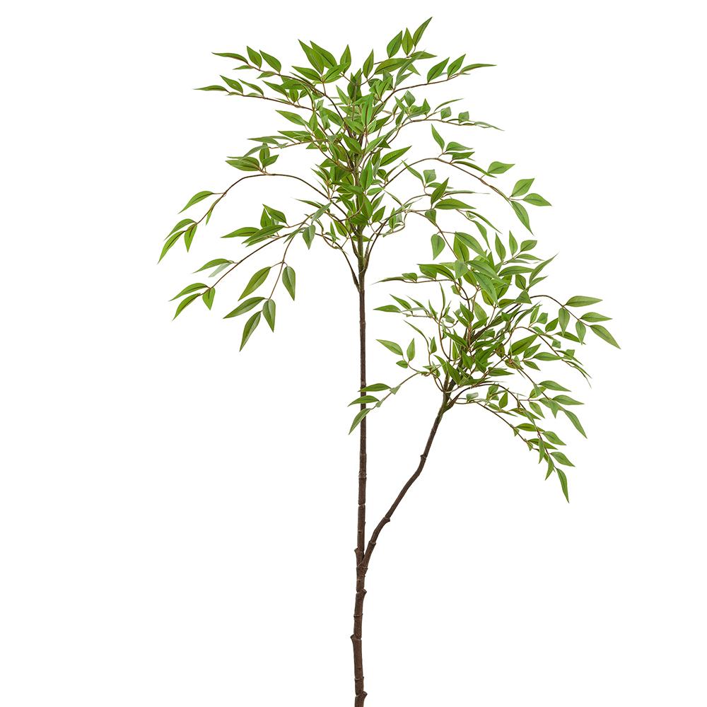 44"NANDINA SPRAY GR