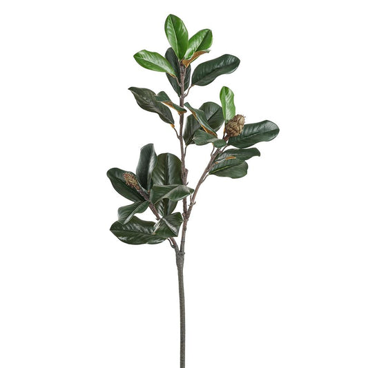35.5" Magnolia Leaf Spray  Green