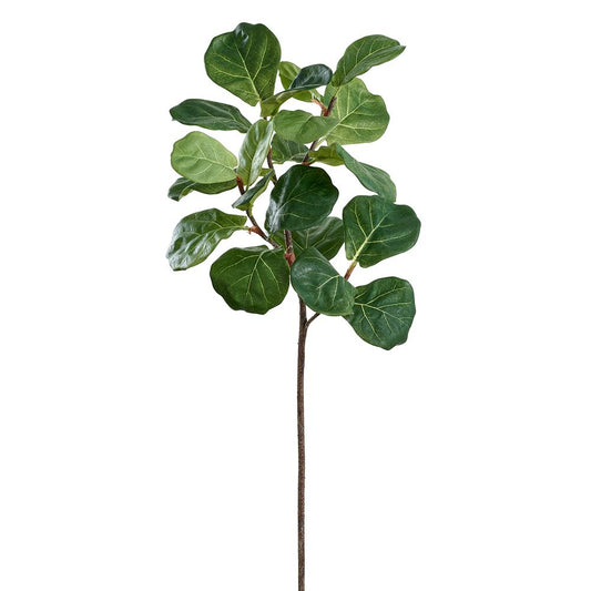 32" Fiddle Leaf Branch  Green