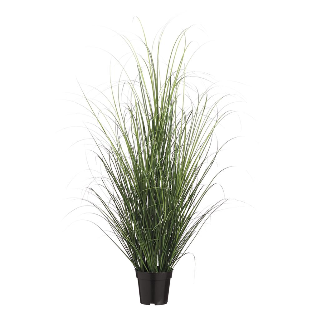 48" GRASS BUSH IN POT GR/TT