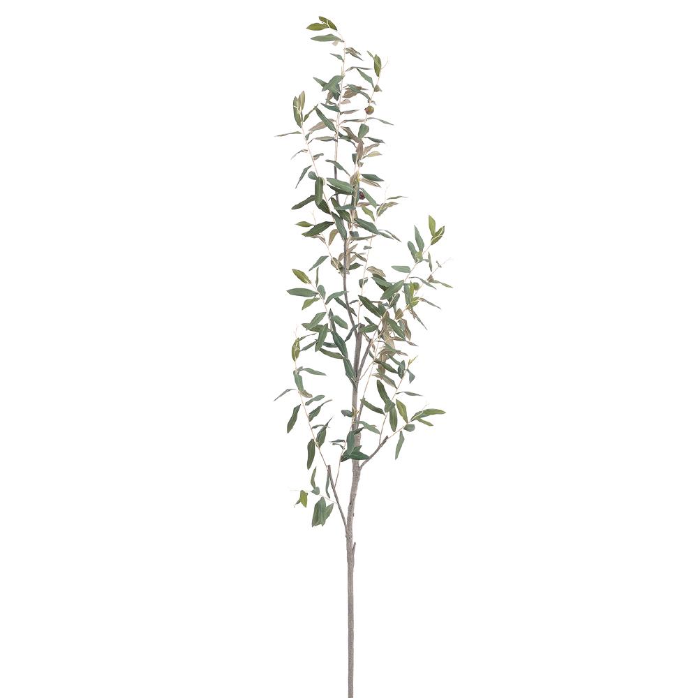 68" Olive Branch  Green
