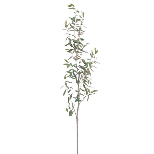 68" Olive Branch  Green