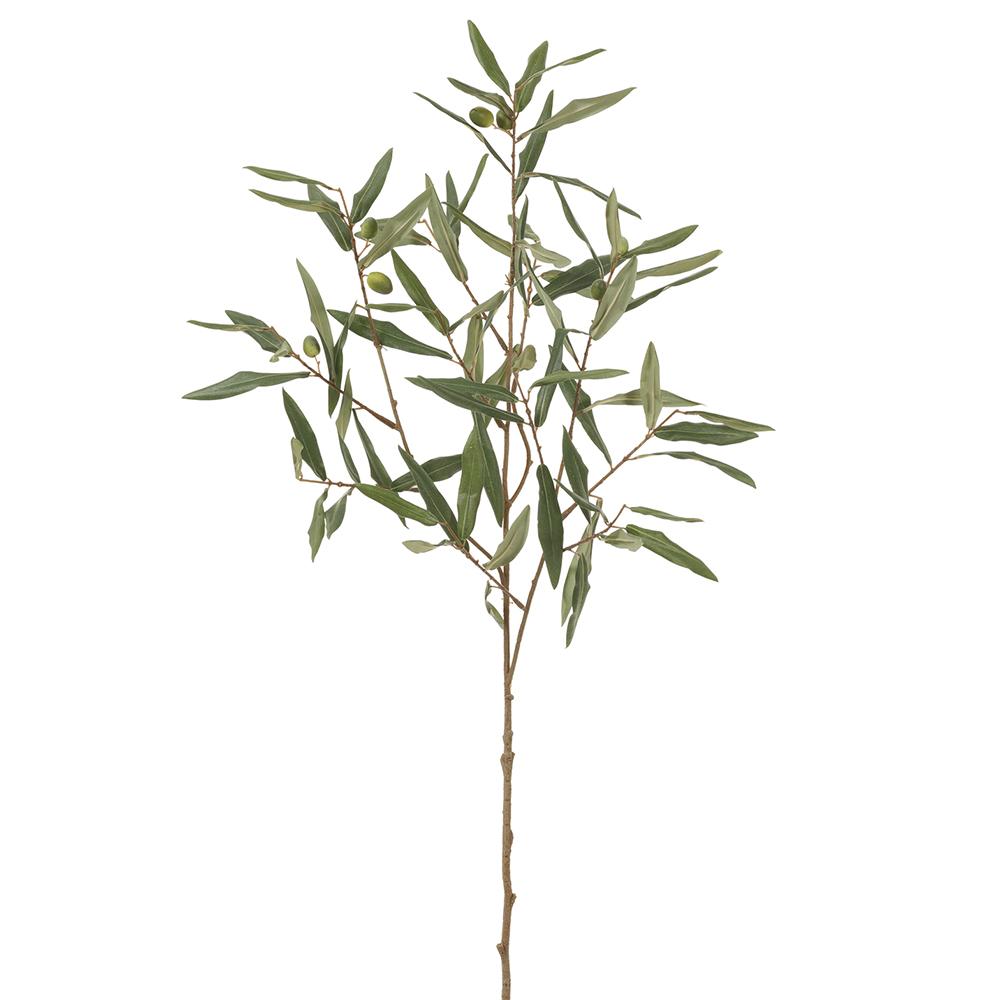 35" Olive Branch  Green