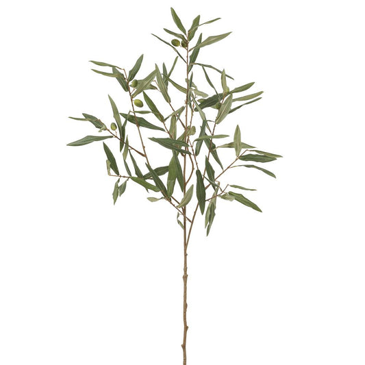 35" Olive Branch  Green
