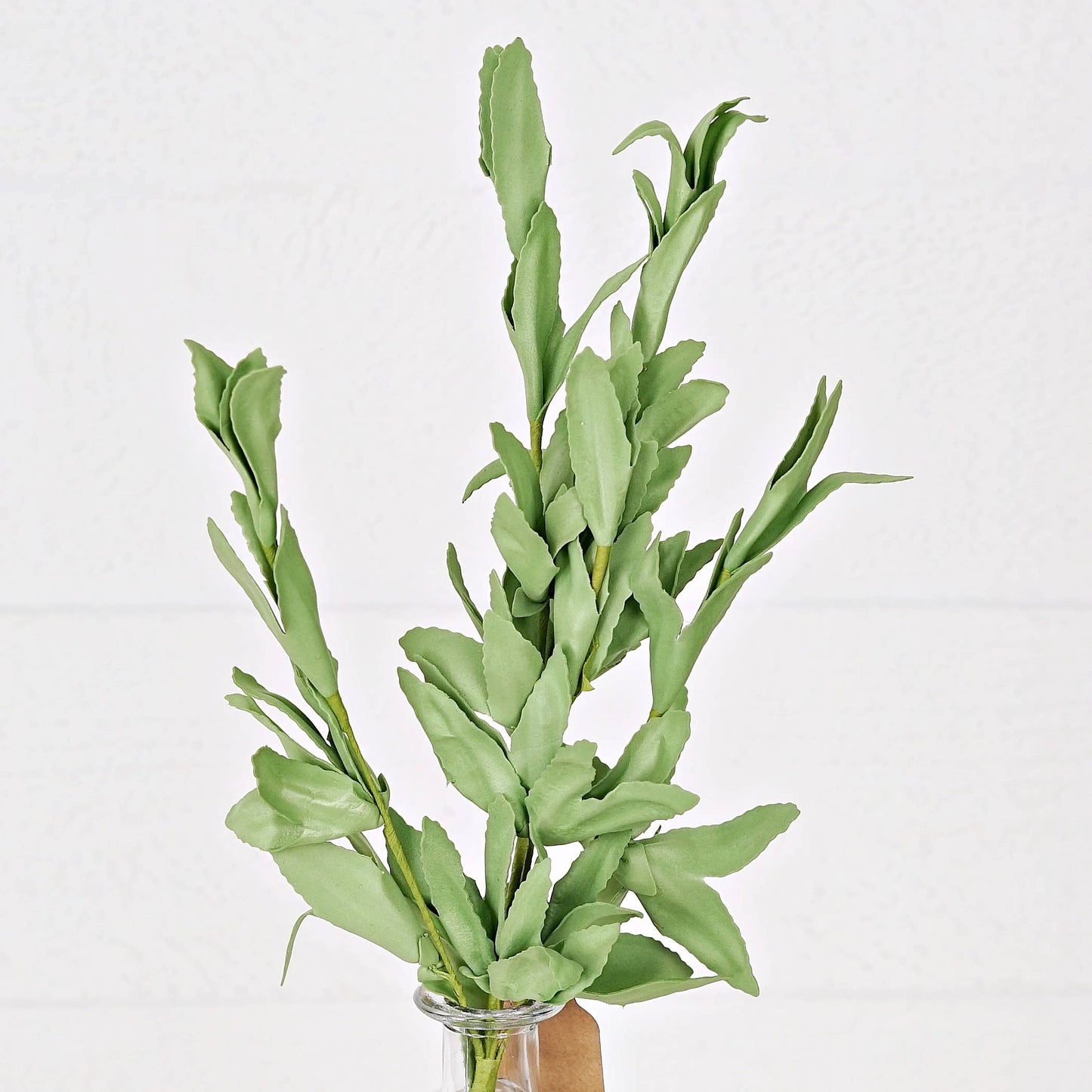 30636- 16in Pick-PE Herb Leaves-Green