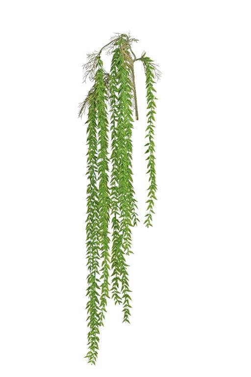 Weeping Willow Spray, 43", Green