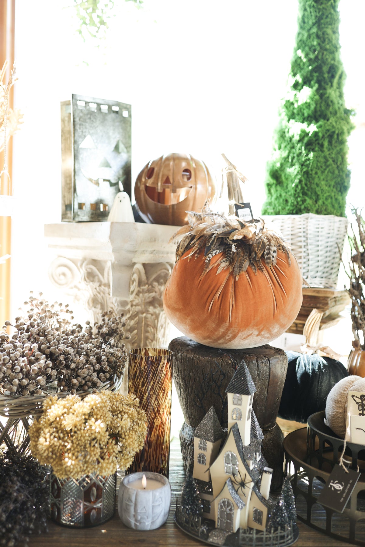 13" Spice Velvet Pumpkin with Feathered Collar (each stem will differ)
