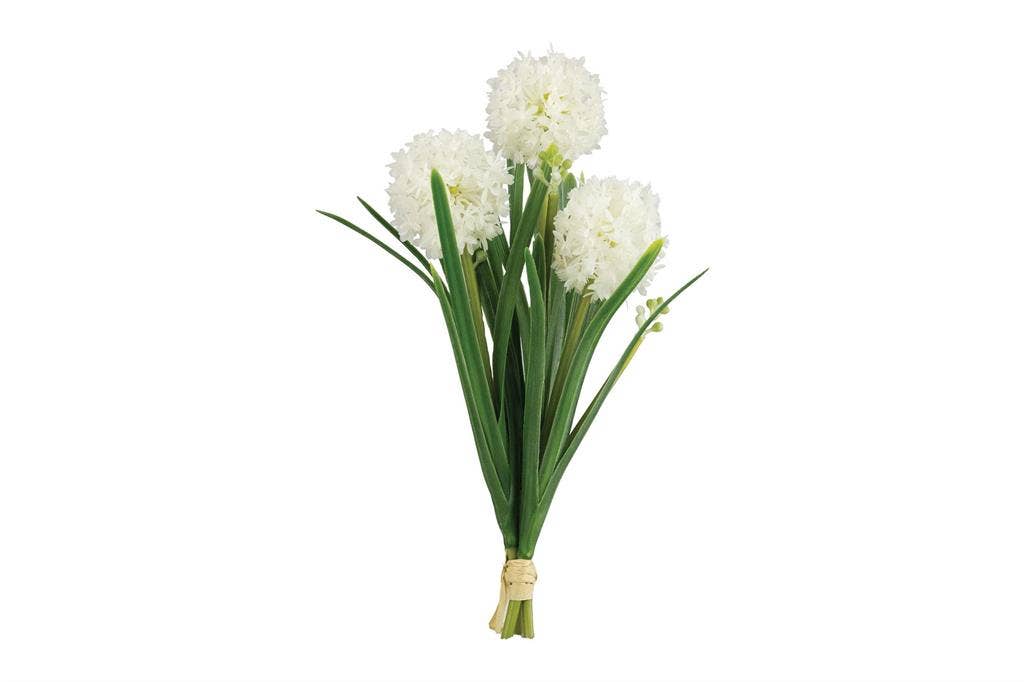 Wild Allium Bundle 11.02" White