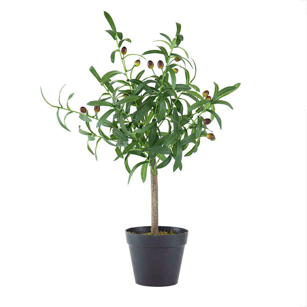 Artificial Olive Tree with Fruit and Cement Pot