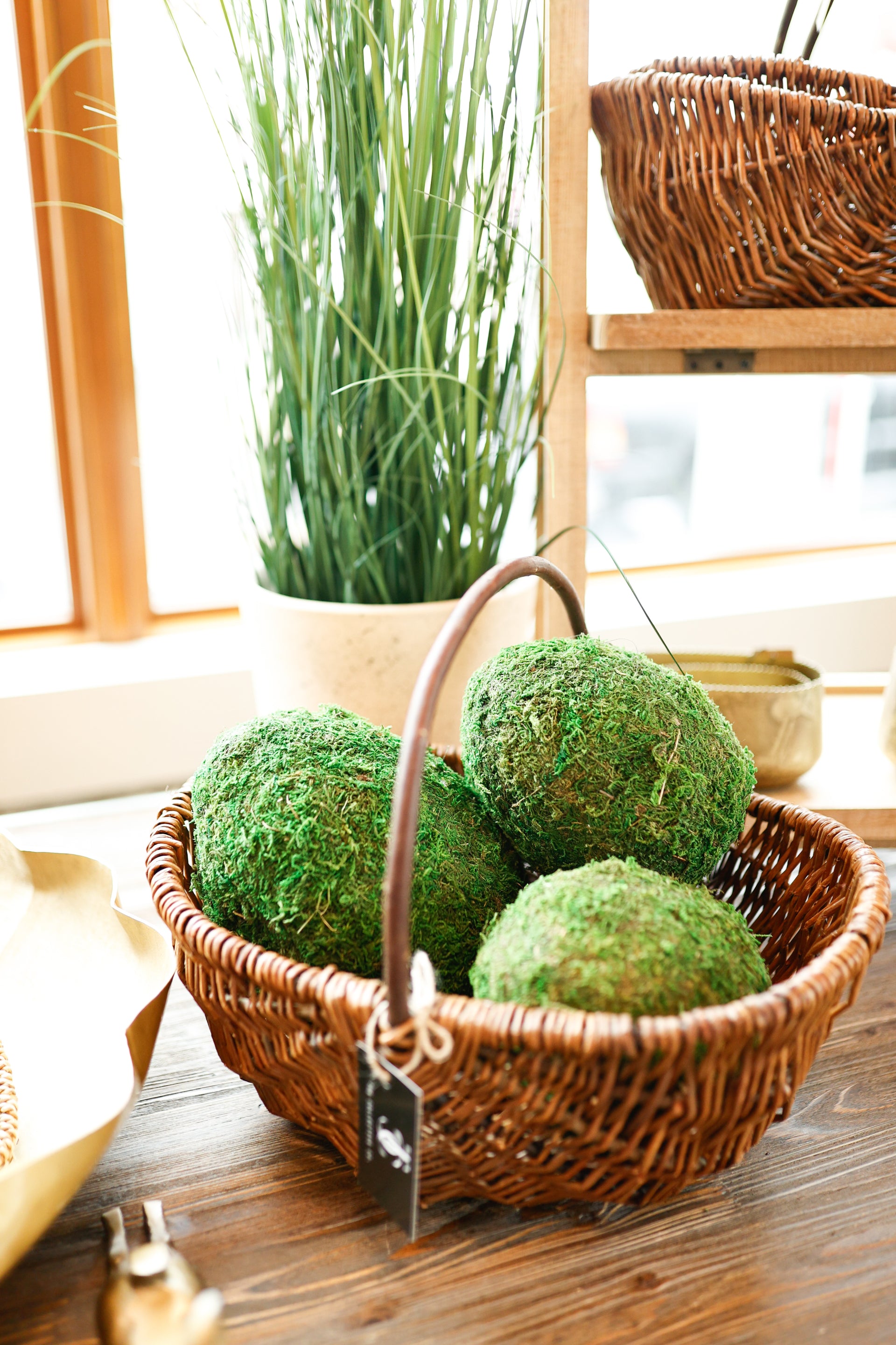 Small Moss Egg