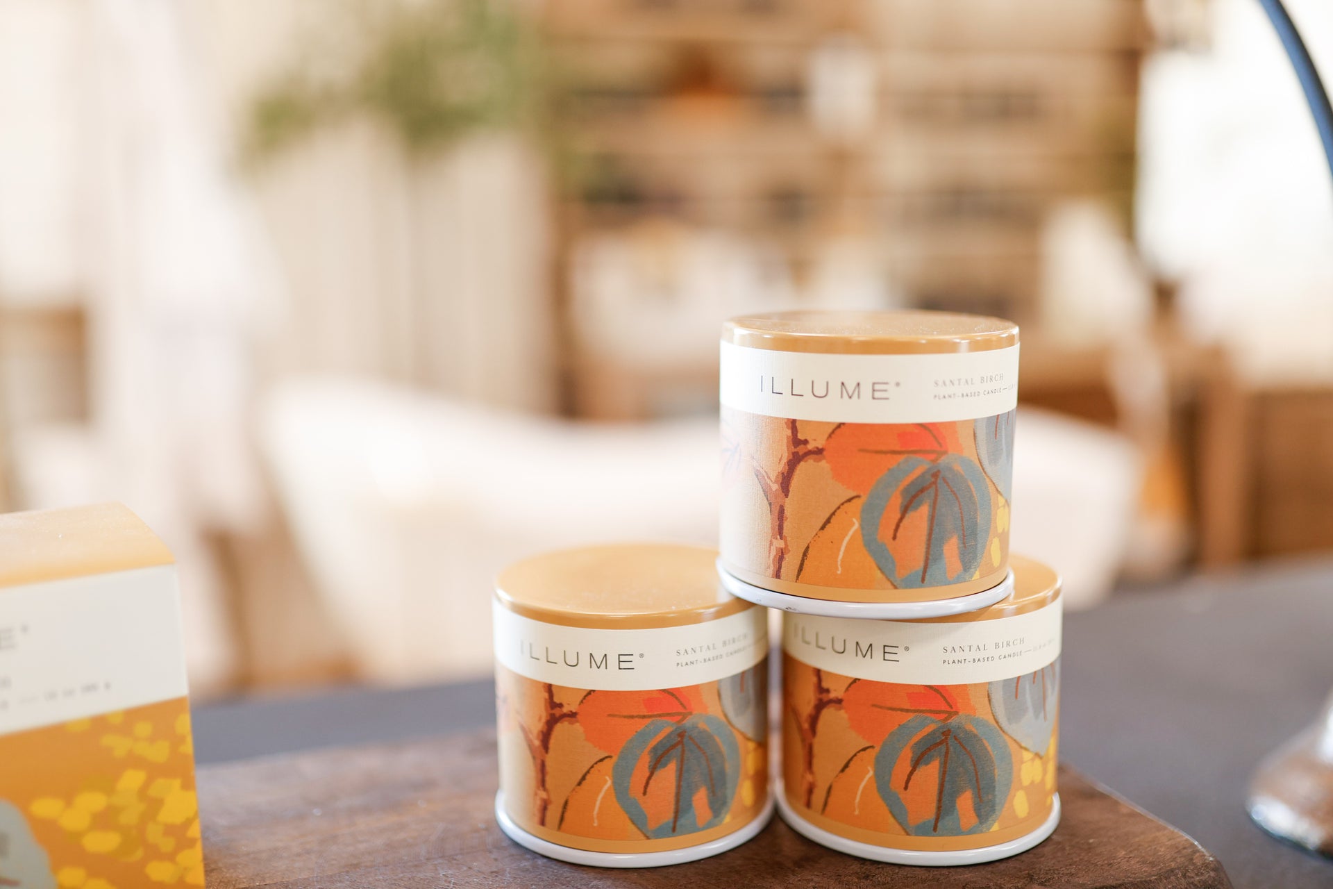 Santal Birch Vanity Tin Candle