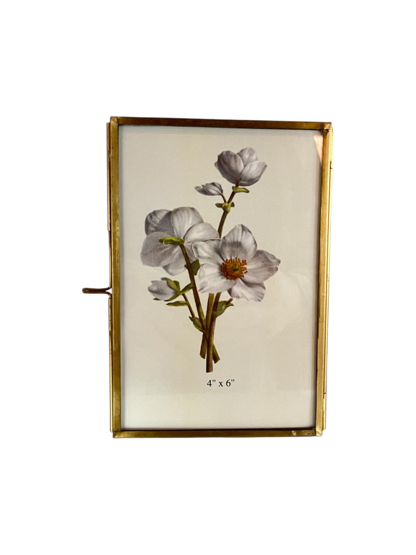 Brass and Gold Picture Frame