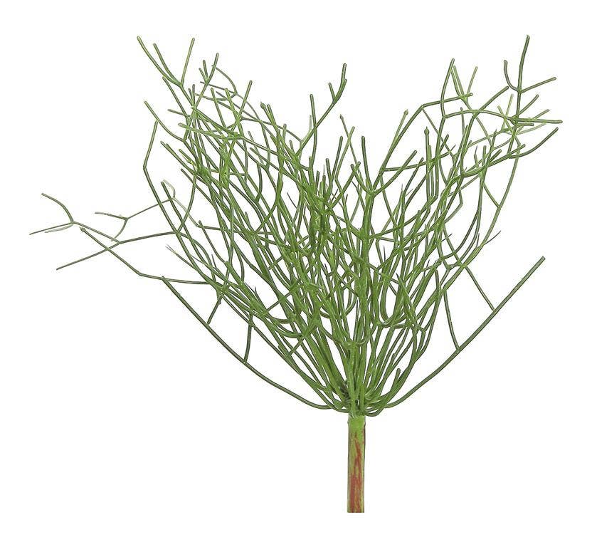 Pencil Cactus Plant, 16", (Uv), Green