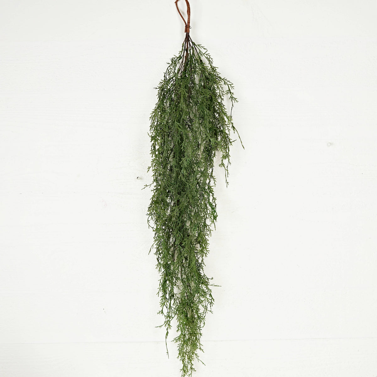 511708- 41inL Teardrop-Wispy Cypress
