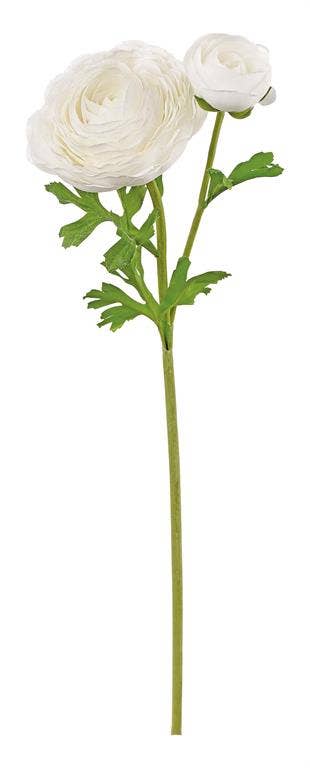 Natural Touch Ranunculus Spray, W/Bud, 22", White
