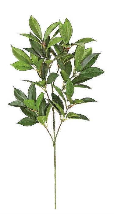 Shikibu Foliage Spray 26", Green