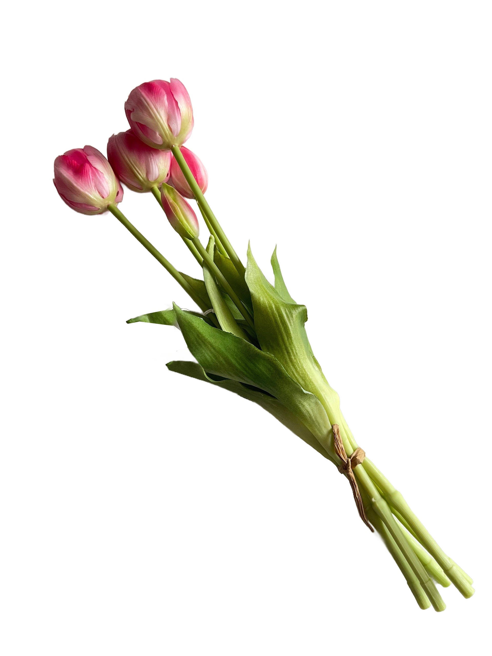 TULIP BUNDLE X5, 15.75", HOT PINK