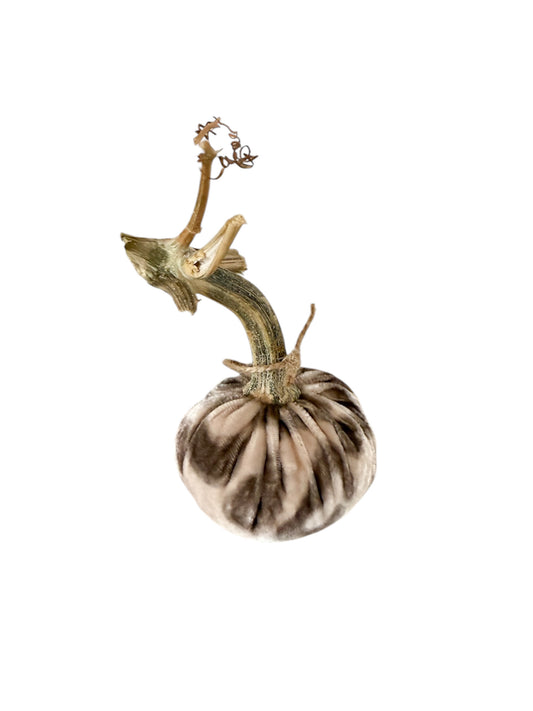 3" Silk Velvet Pumpkin